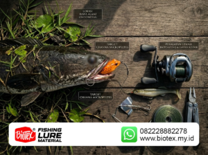 Ikan_Gabus_dan_Toman_Termasuk_Ikan_Favorit_Pemancing_Nusantara